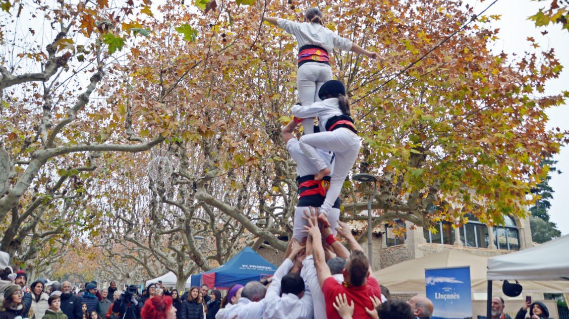 Els Castellers del Lluçanès, nova colla en formació, vestiran camisa de color verd fosc