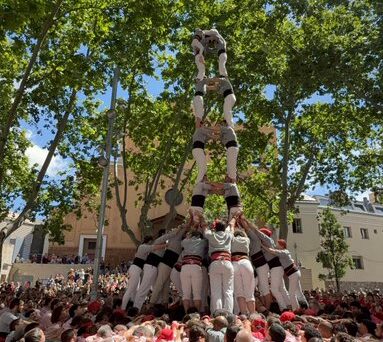 Camí del Concurs: el puntuatge per diumenge