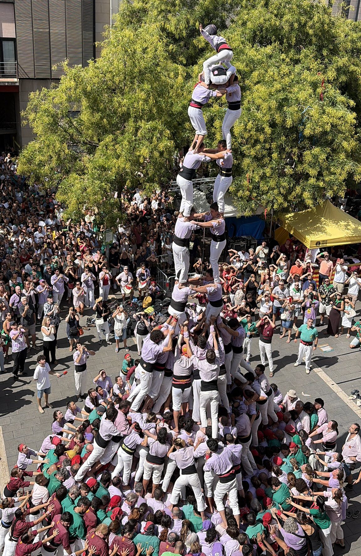 Gairebé la meitat dels grans castells del 2026 són extraordinaris